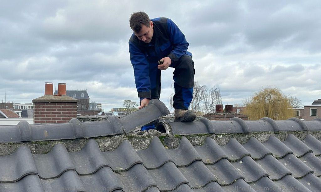 Dakdekker Inschakelen Stormschade Schijndel