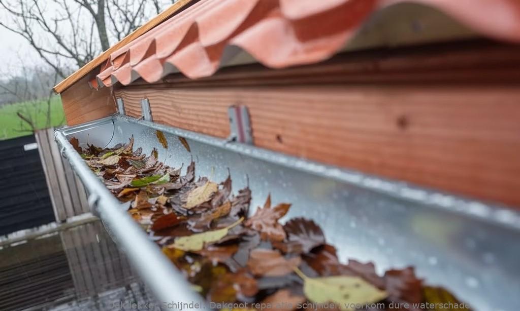 Dakgoot Reparatie Schijndel 1