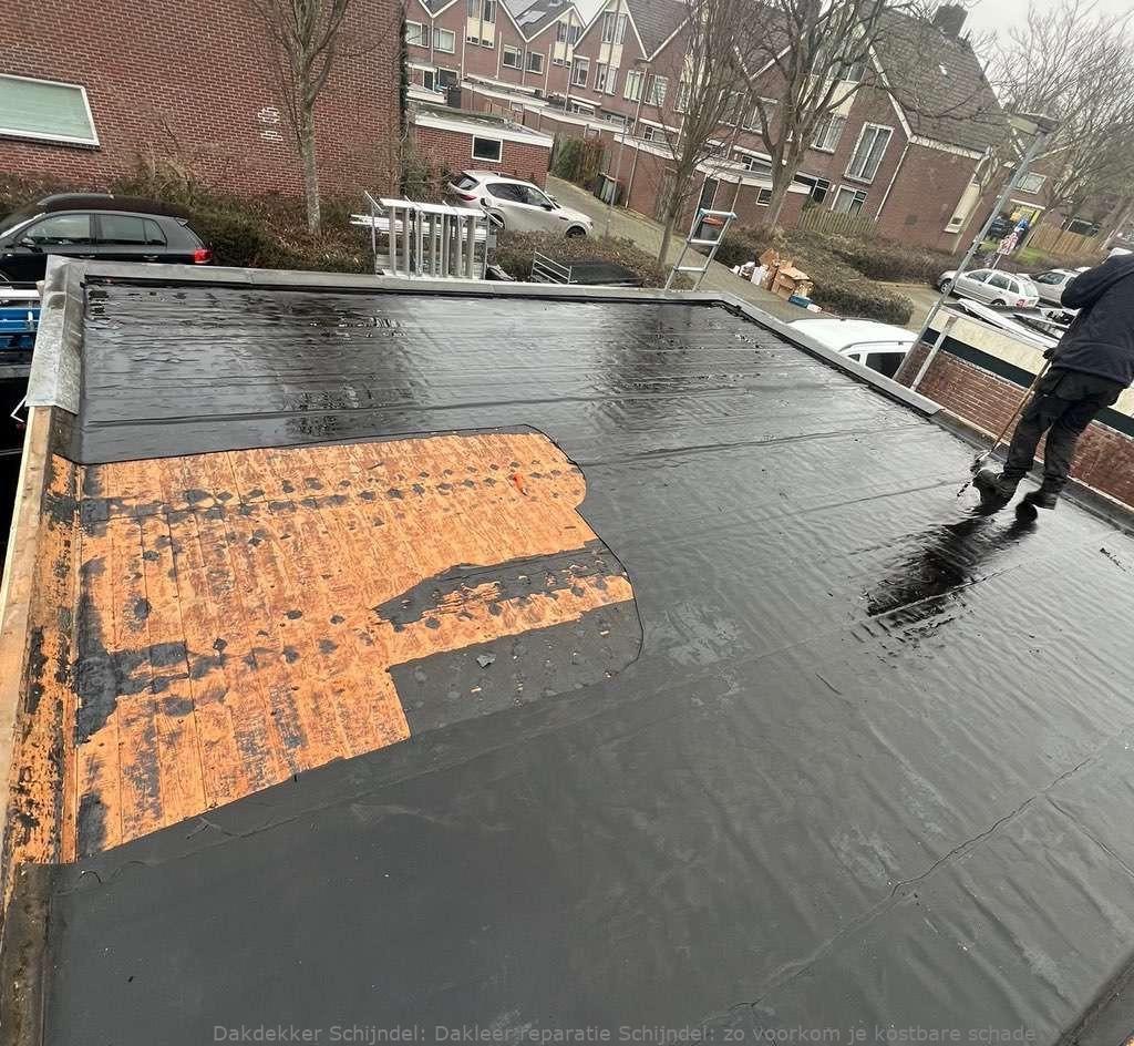 Dakleer Reparatie Schijndel