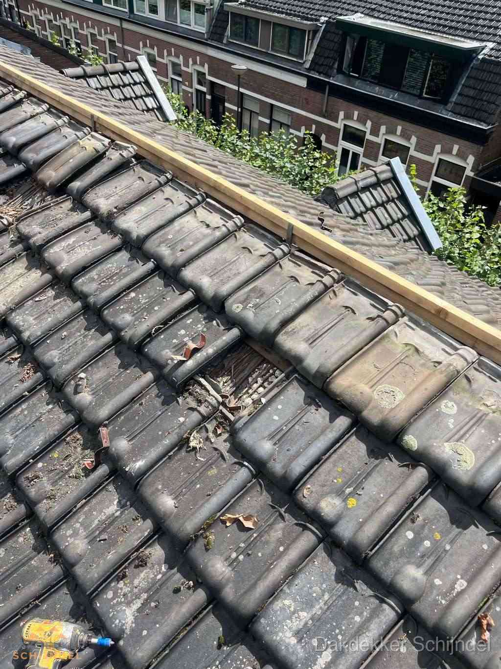 Dakonderhoud Schijndel