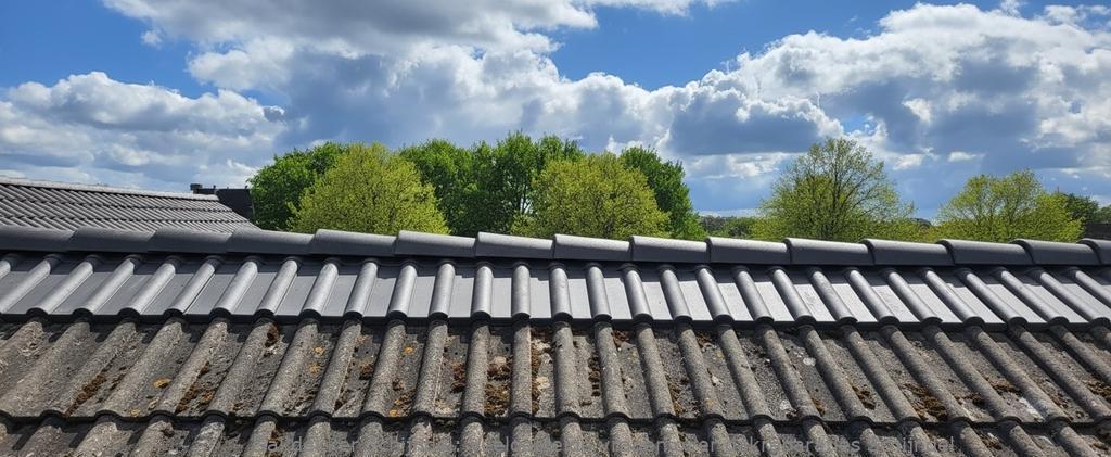 Kosten Dakreparaties Schijndel