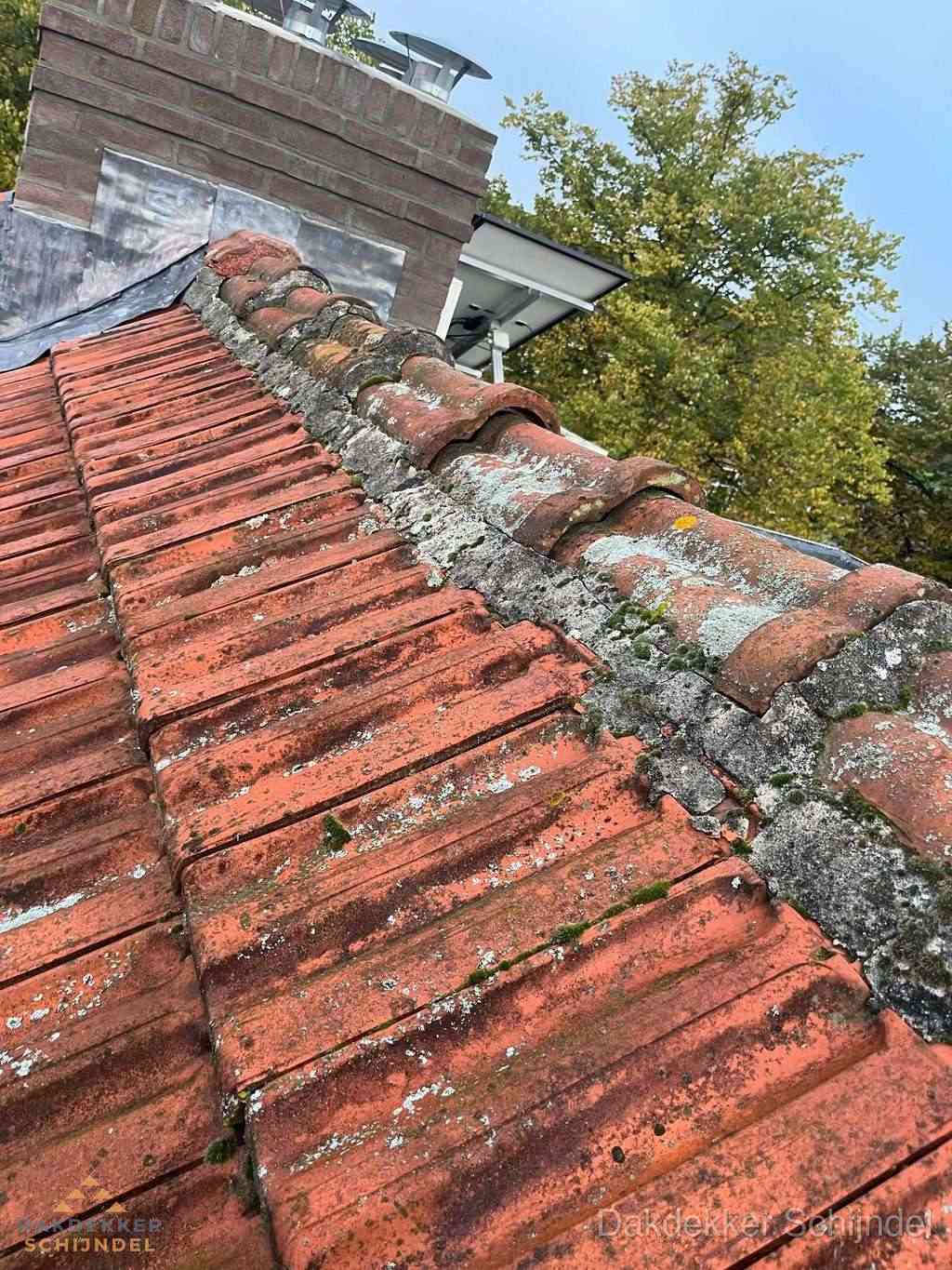 Renovatie Hellend Dak Schijndel