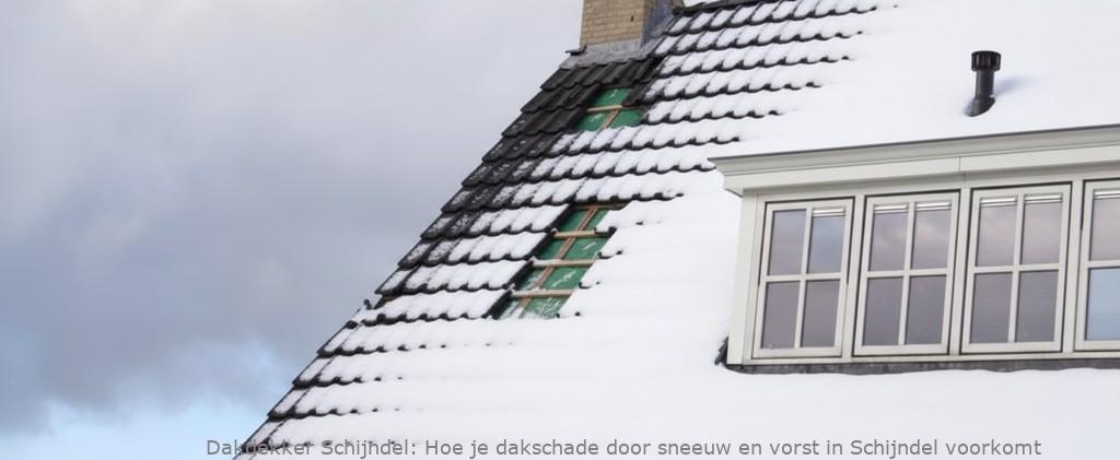 Schade Door Sneeuw En Vorst Schijndel