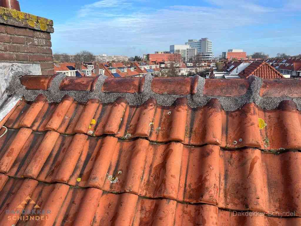 Schijndel Daken Renoveren